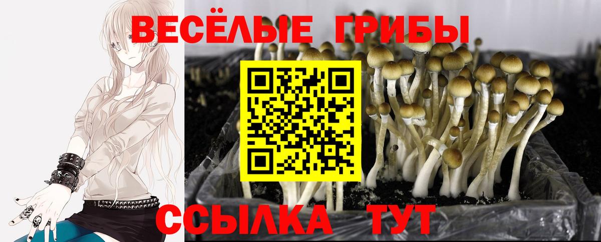 Галлюциногенные грибы мицелий  Вход с VPN  Гай  Галлюциногенные грибы Magic Shrooms 