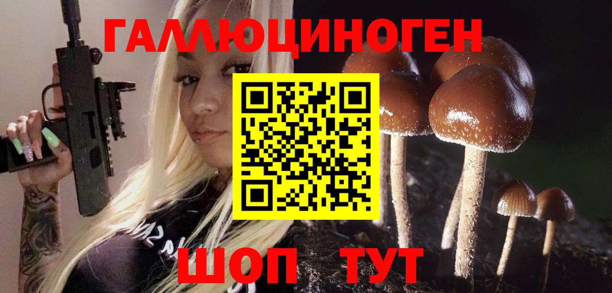 Псилоцибиновые грибы GOLDEN TEACHER Гай